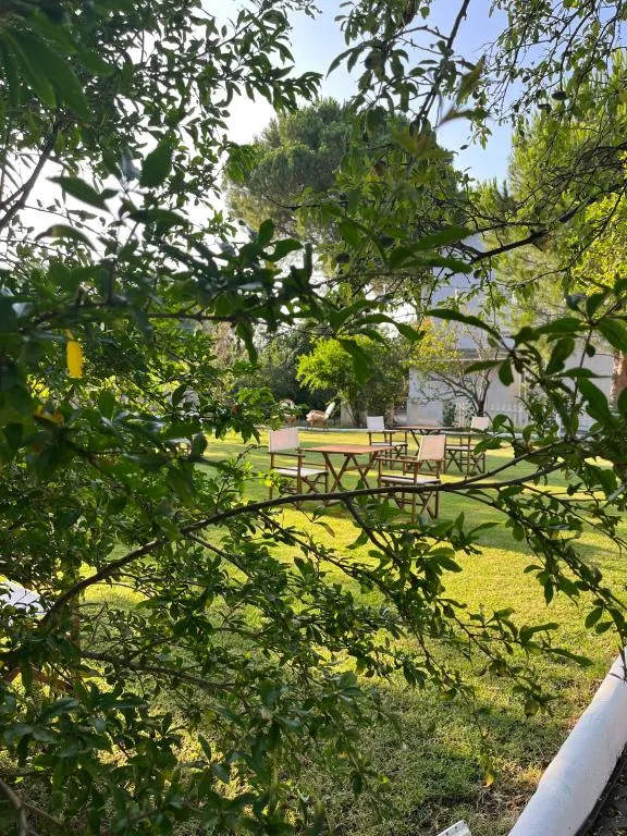 Diğer