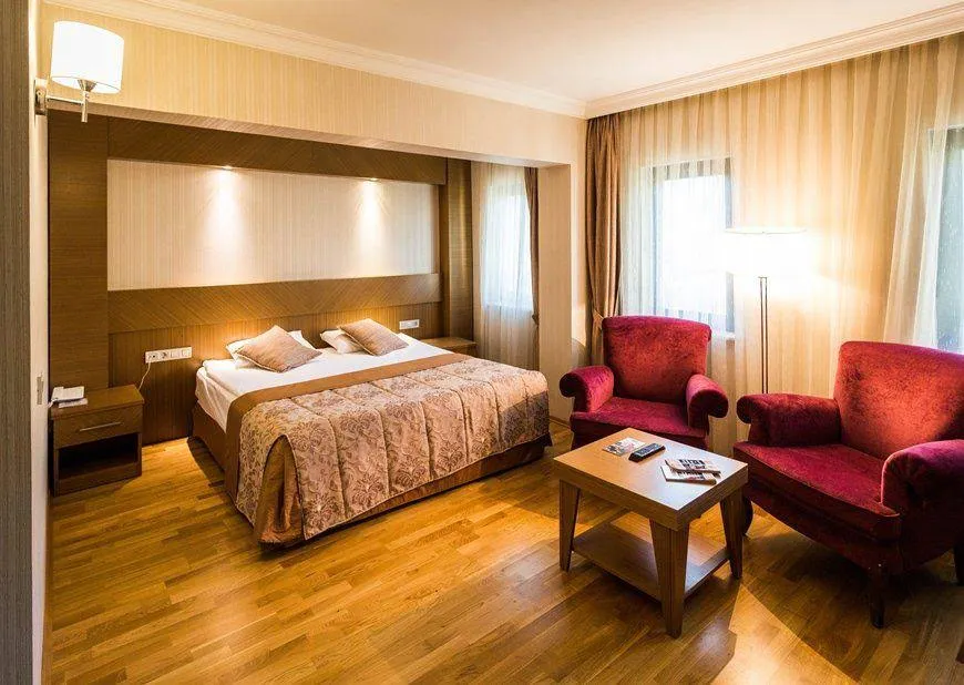 Standart Oda,Orman Manzaralı