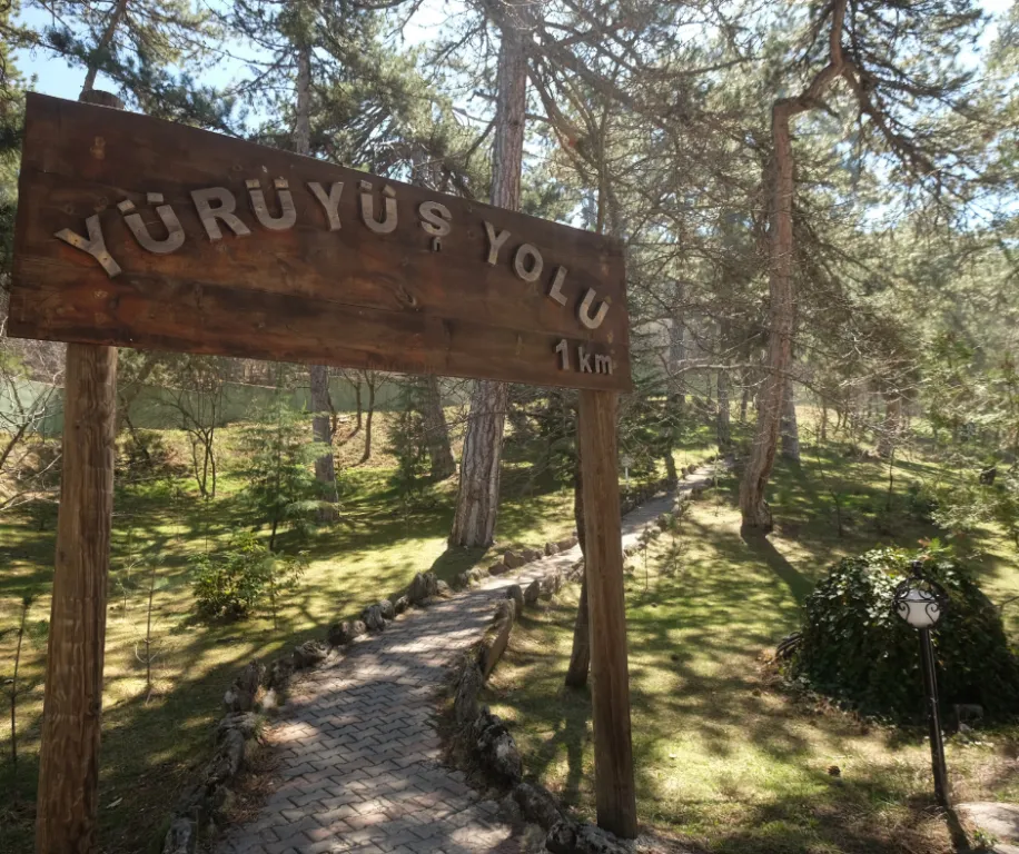 Genel Görünüm