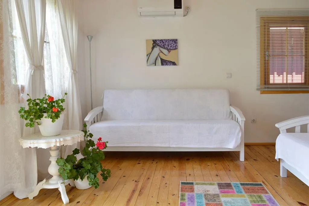 Suite Bungalow