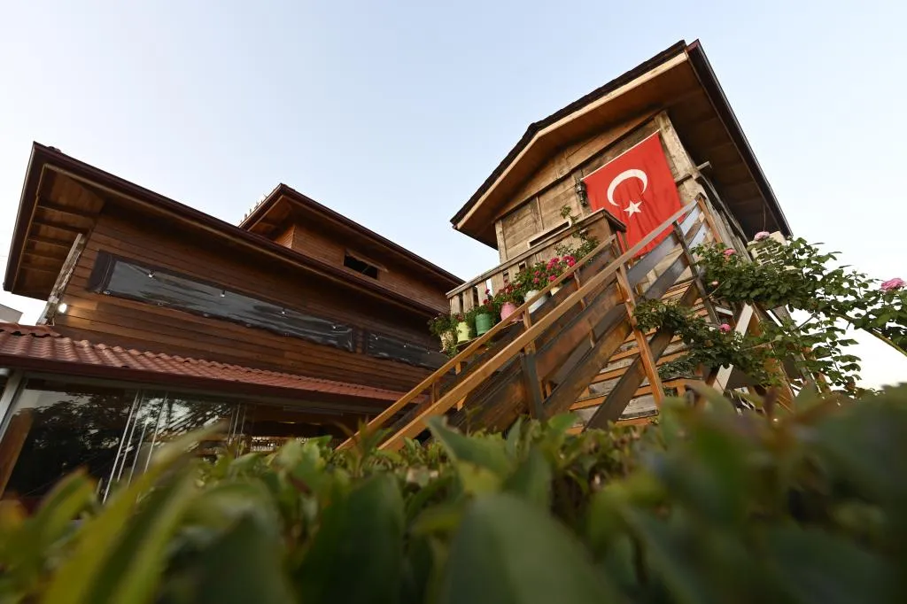 Genel Görünüm
