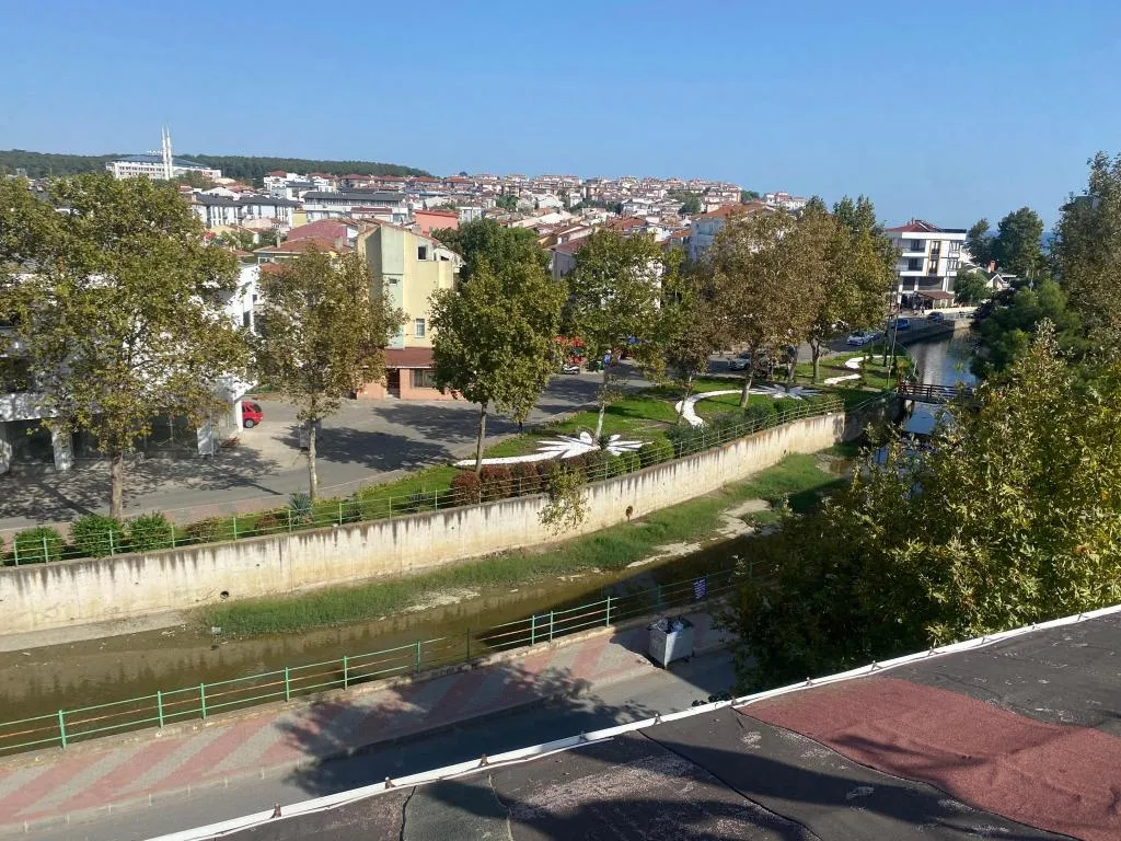 Diğer