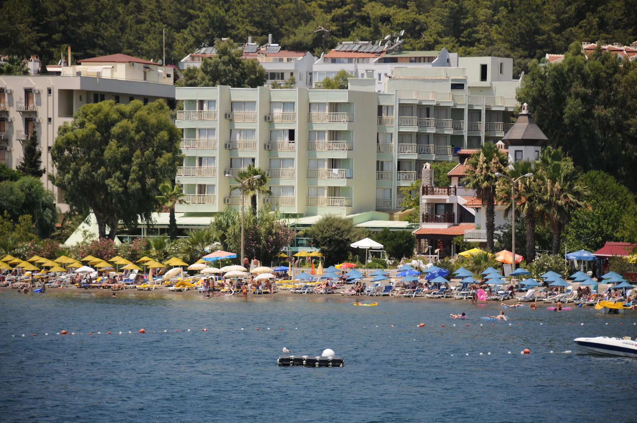 Genel Görünüm
