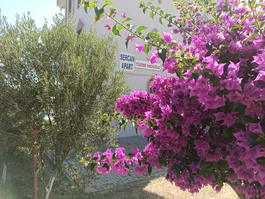 Genel Görünüm