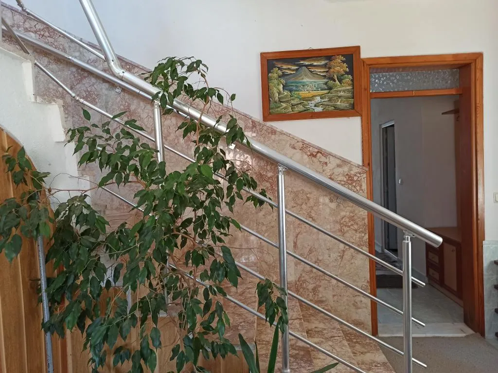 Genel Görünüm