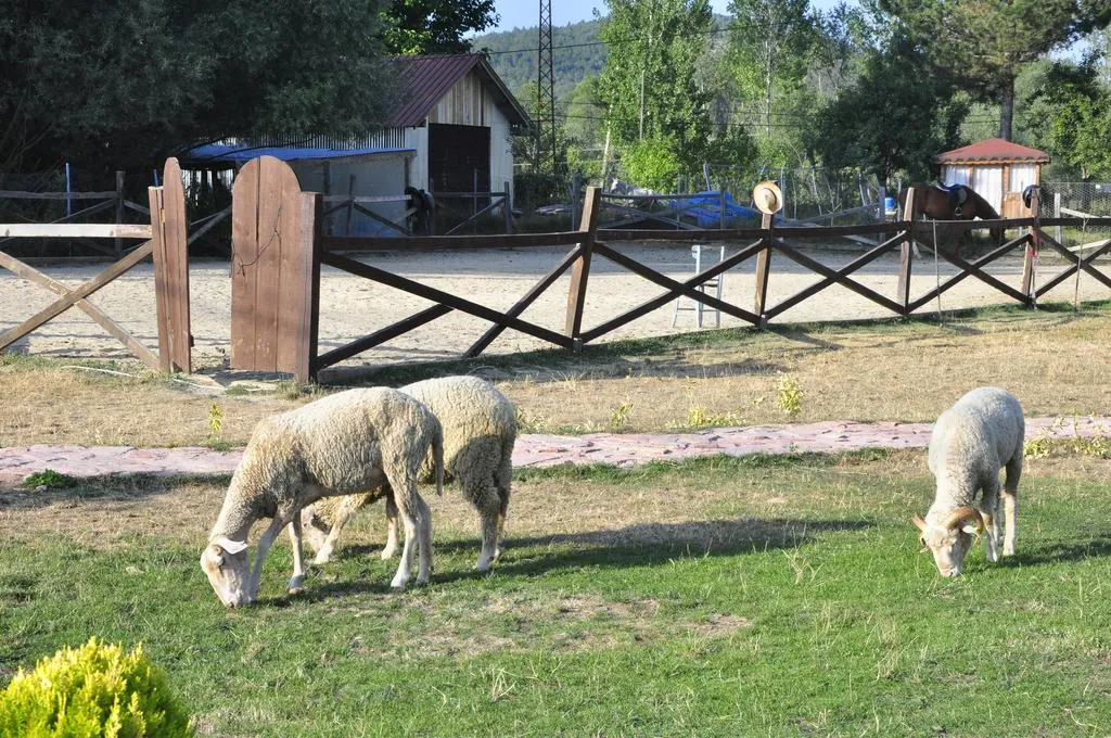 Genel Görünüm