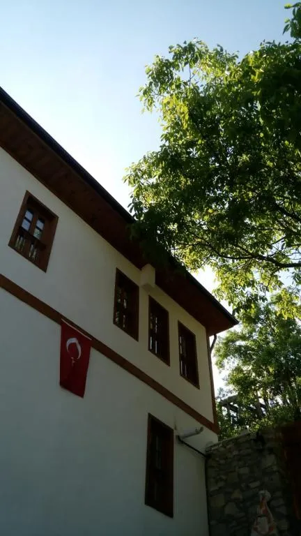 Genel Görünüm