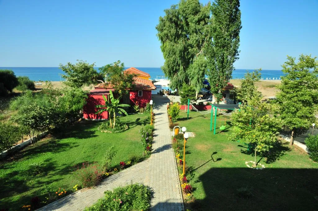 Genel Görünüm
