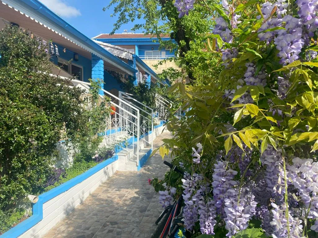 Diğer