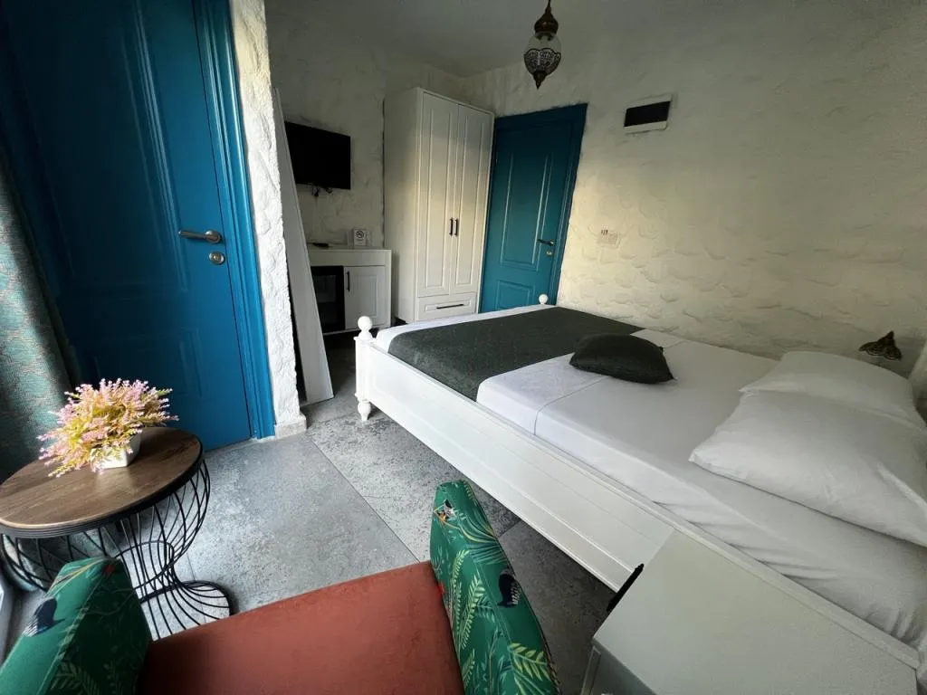Executive Suite,Bahçe Manzaralı
