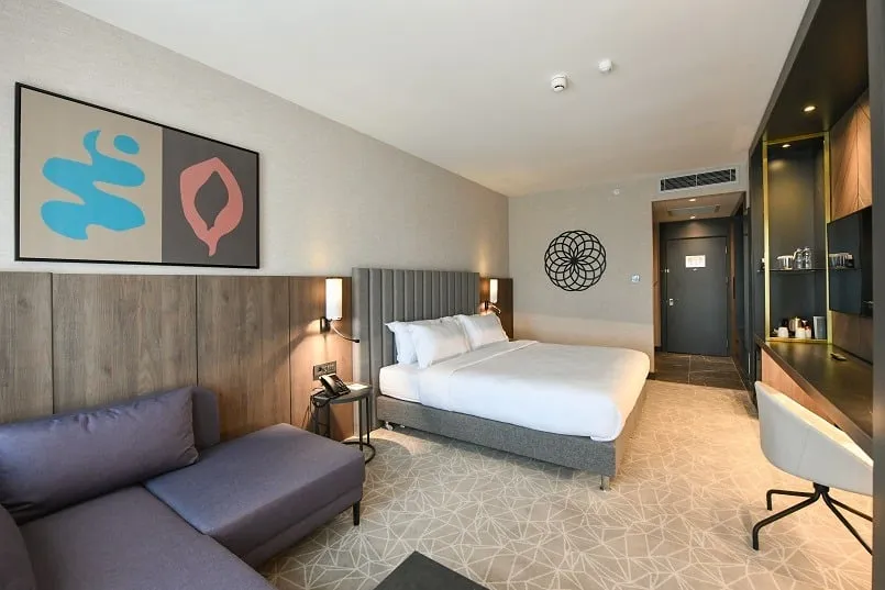 Standart King Room,Şehir Manzaralı