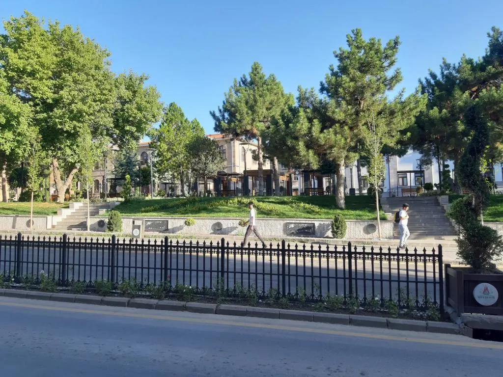 Genel Görünüm