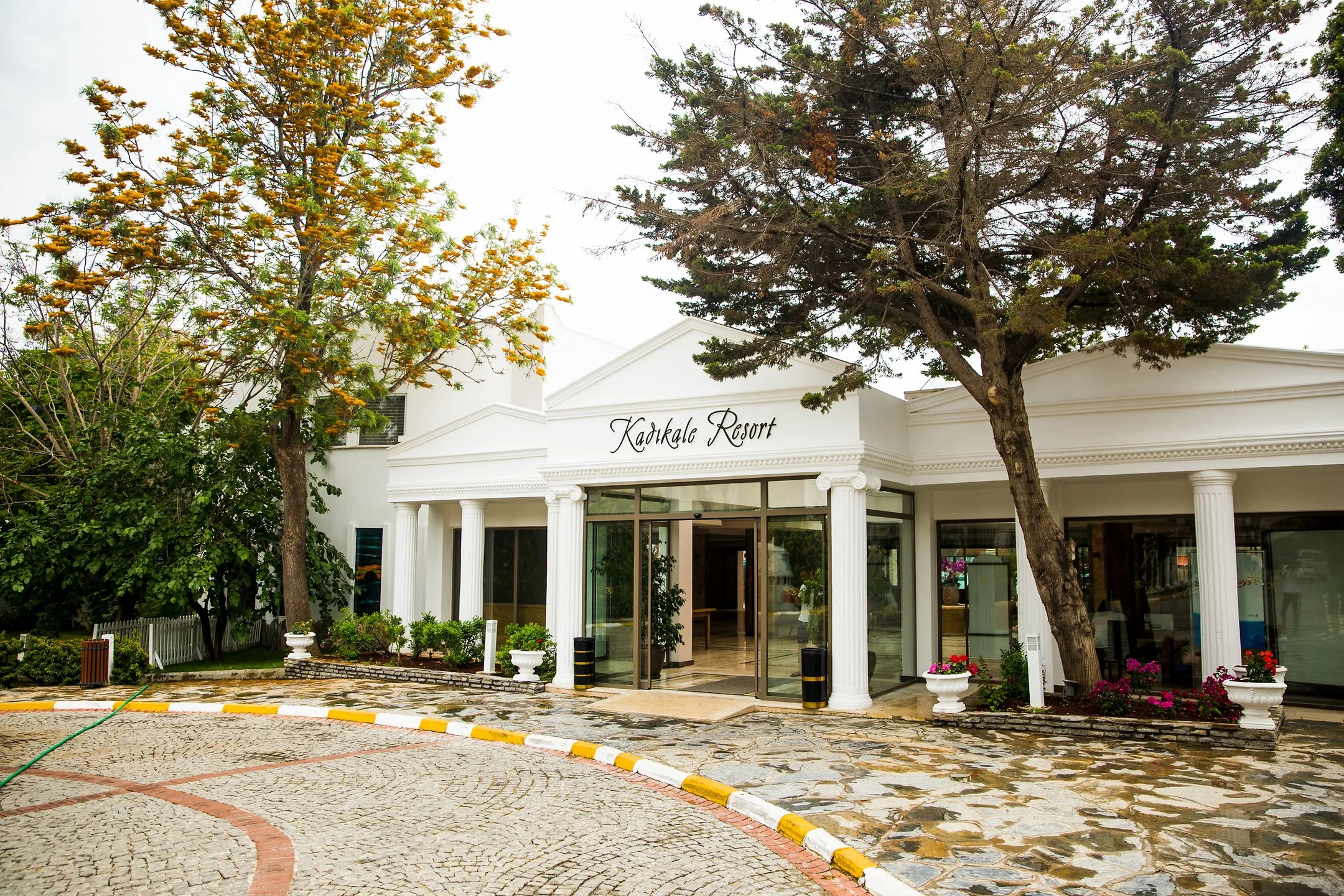 Giriş