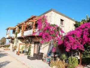Eco Farm Boutique Otel