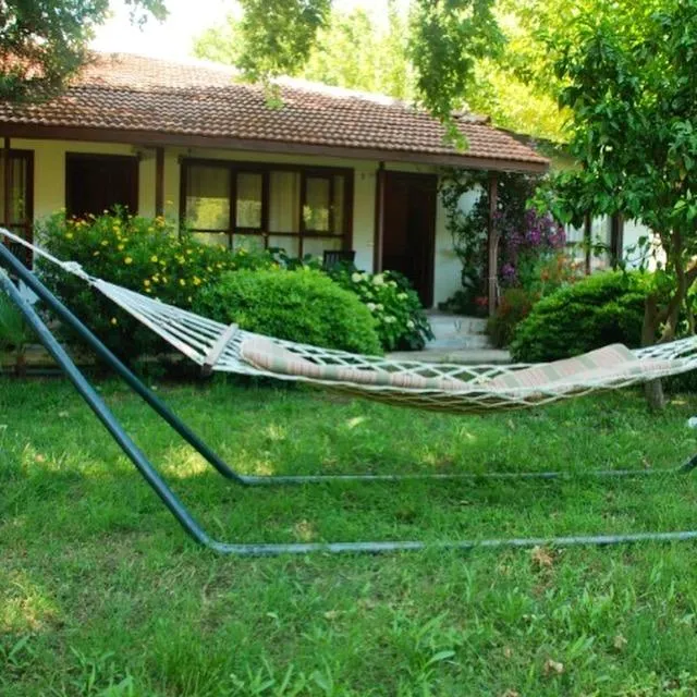 Standart Triple Oda