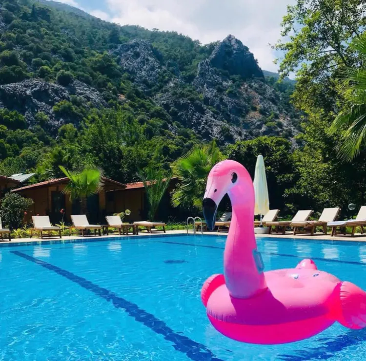 Genel Görünüm