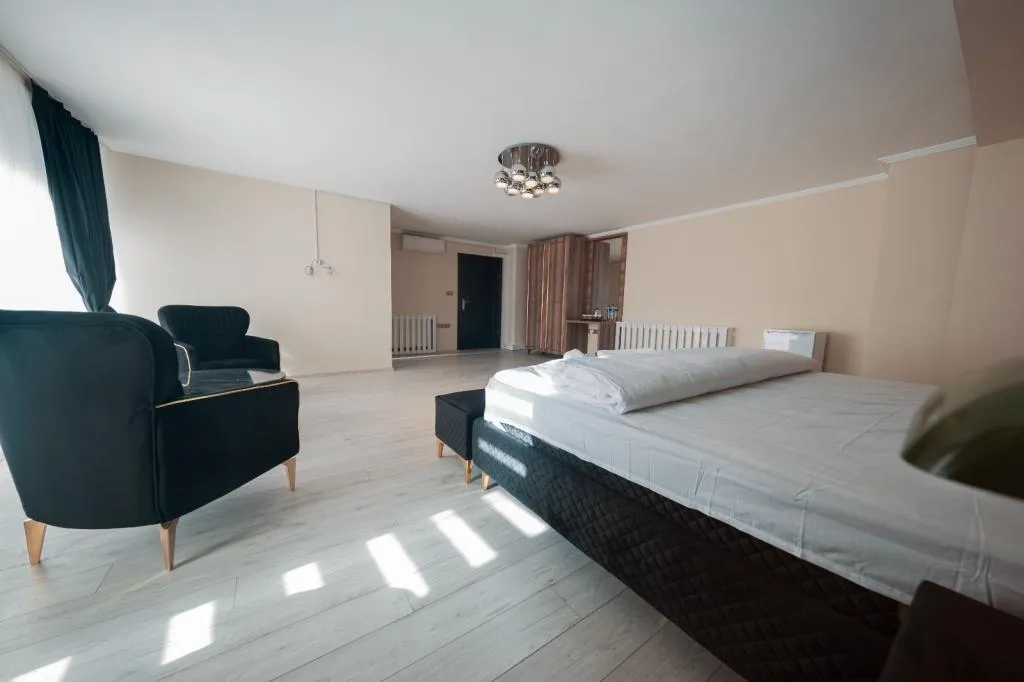 Suite,Şehir Manzaralı,Fransız Balkonlu