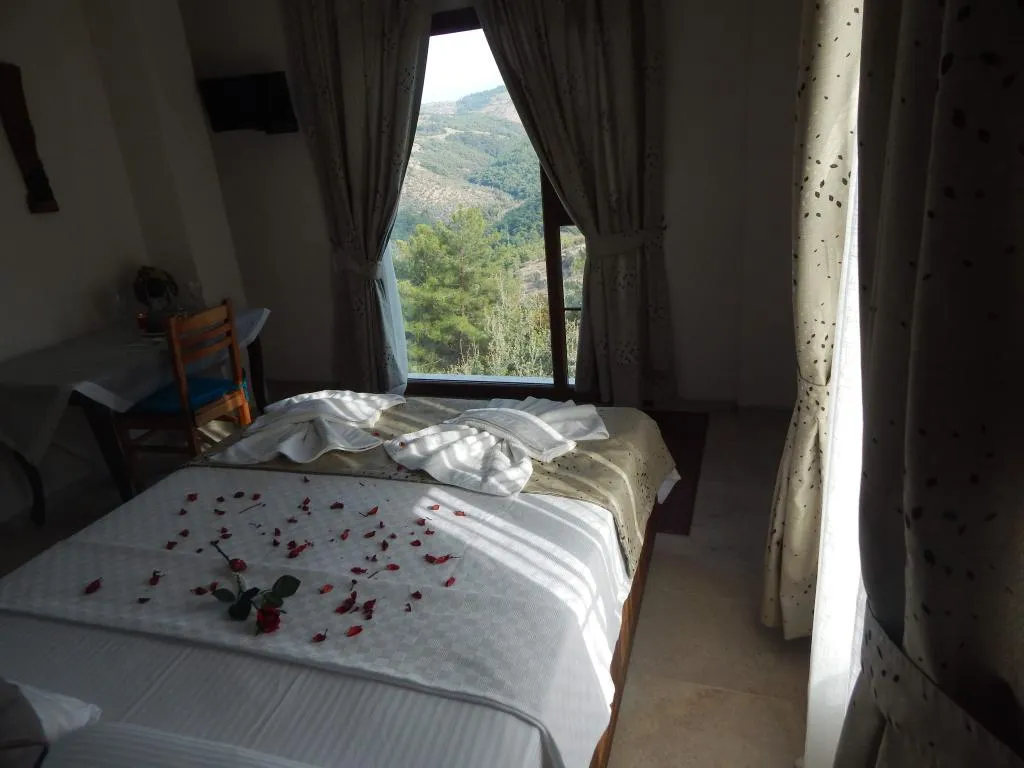Deluxe Üç Kişilik Oda ,Havuz Manzaralı,Jakuzili