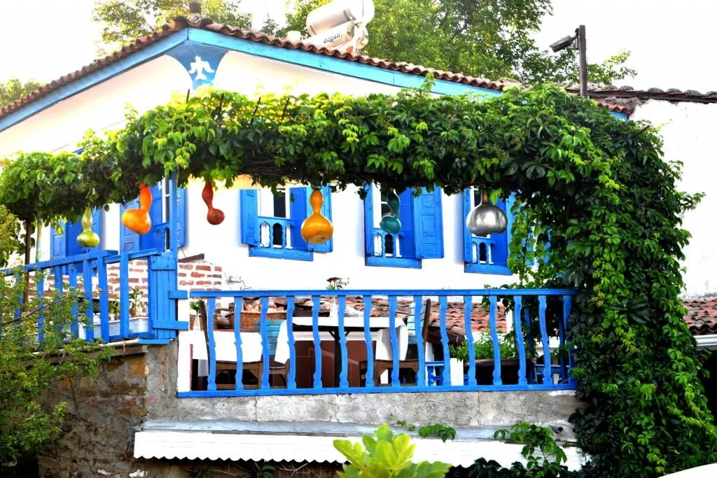 Genel Görünüm