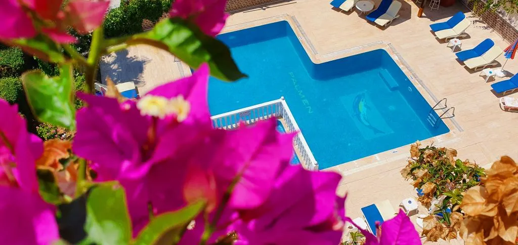 Genel Görünüm
