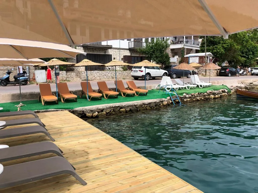 Genel Görünüm