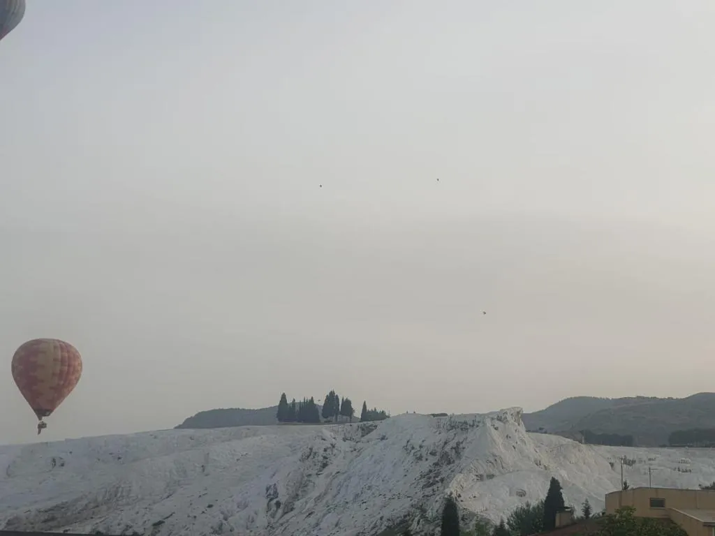 Genel Görünüm