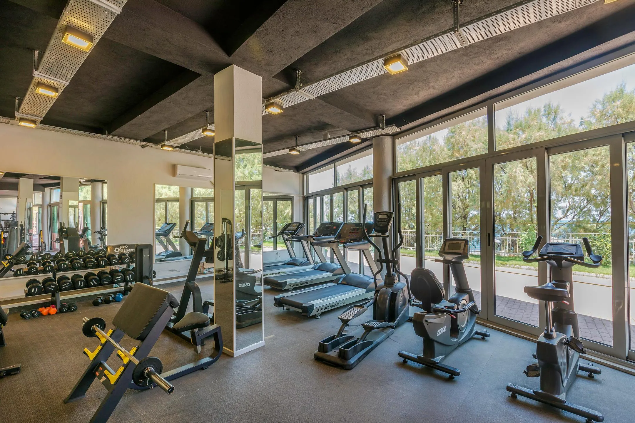 Fitness