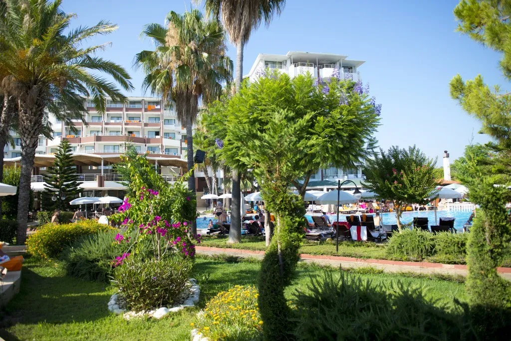 Genel Görünüm