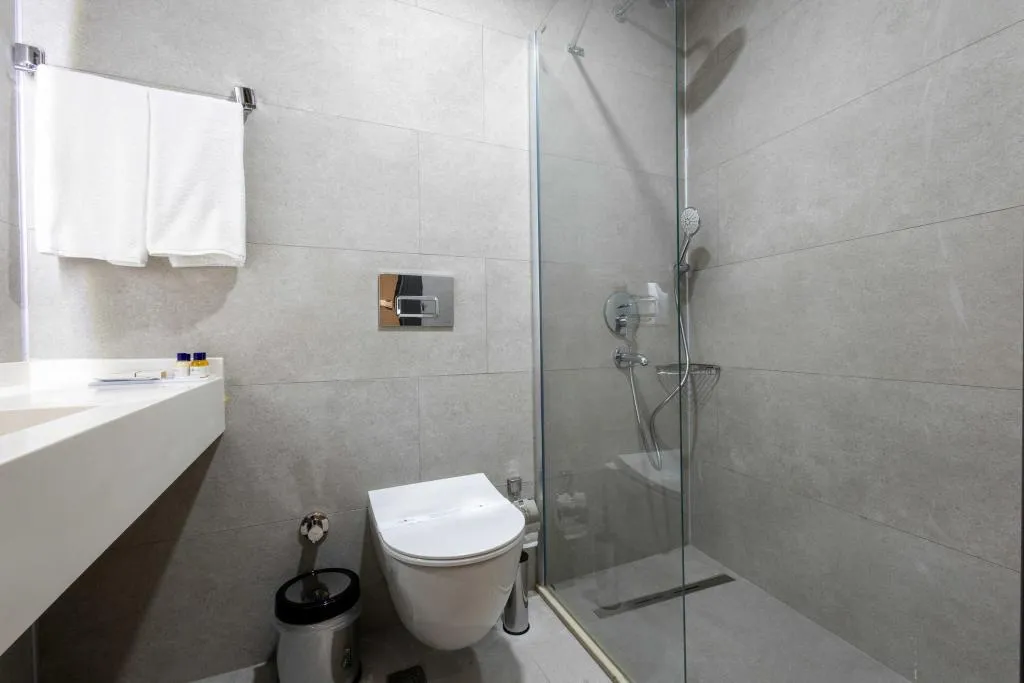 Deluxe Twin Oda,Şehir Manzaralı