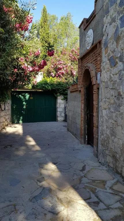 Genel Görünüm