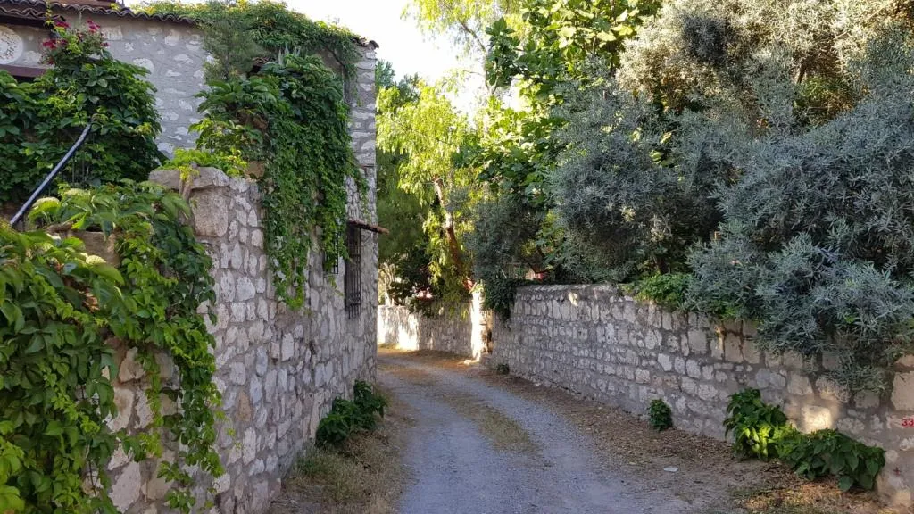 Genel Görünüm