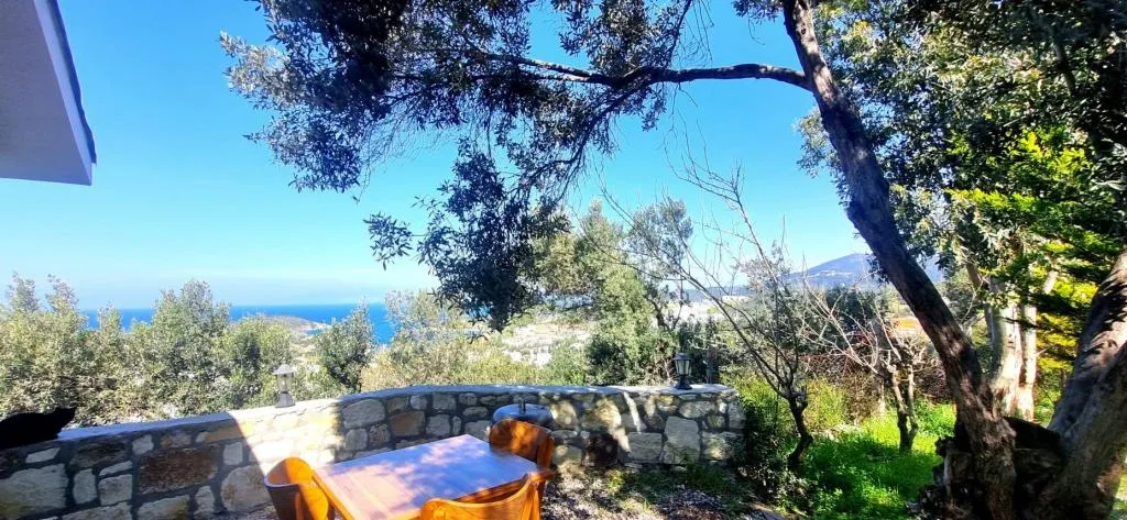 Studio Suite,Deniz ve Dağ Manzaralı,Barbekülü