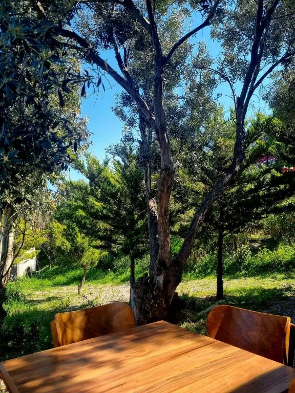 Studio Suite,Deniz ve Dağ Manzaralı,Barbekülü