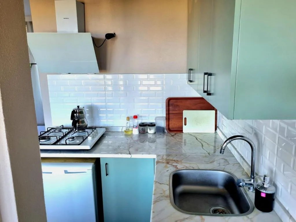 Studio Suite,Deniz ve Dağ Manzaralı,Barbekülü