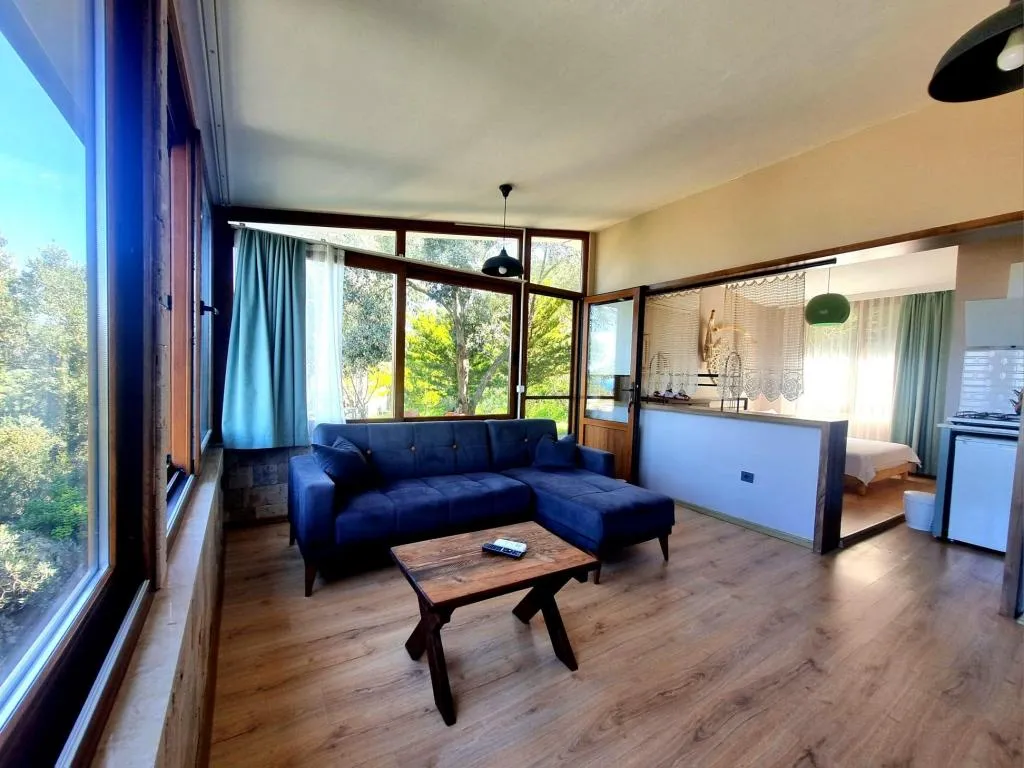 Studio Suite,Deniz ve Dağ Manzaralı,Barbekülü