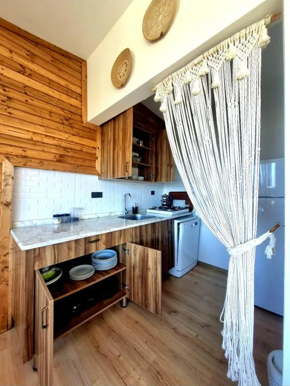 Studio Suite,Deniz ve Dağ Manzaralı,Barbekülü
