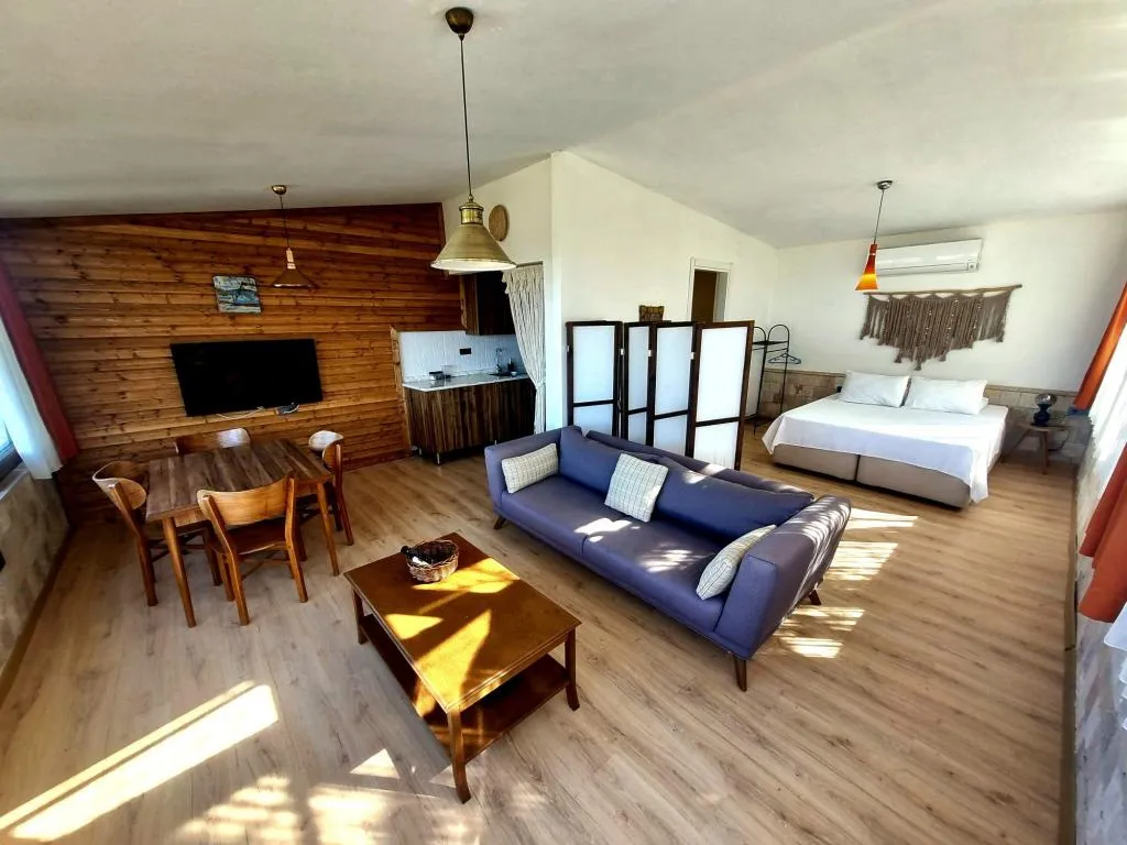 Studio Suite,Deniz ve Dağ Manzaralı,Barbekülü