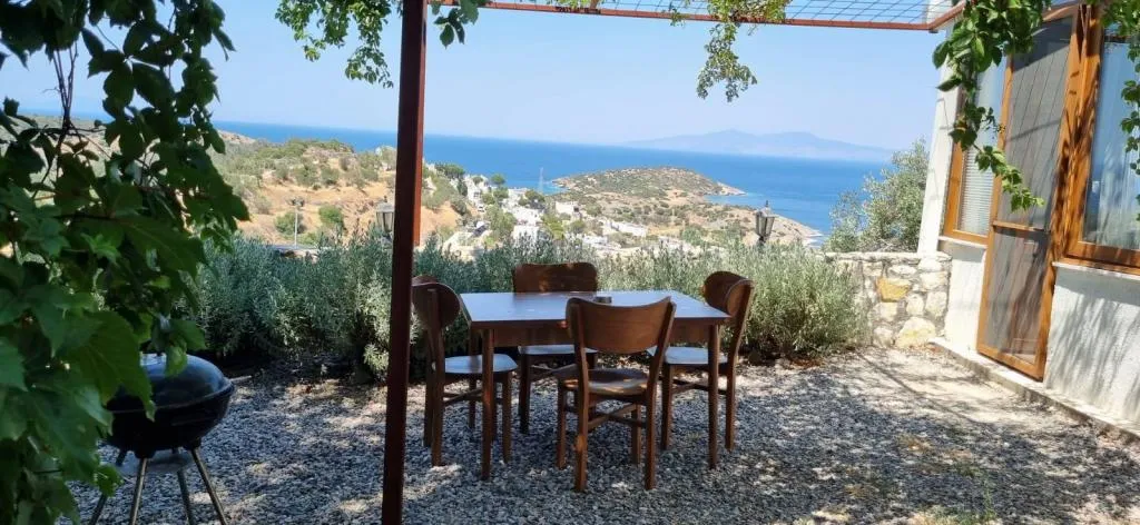 Studio Suite,Deniz ve Dağ Manzaralı,Barbekülü