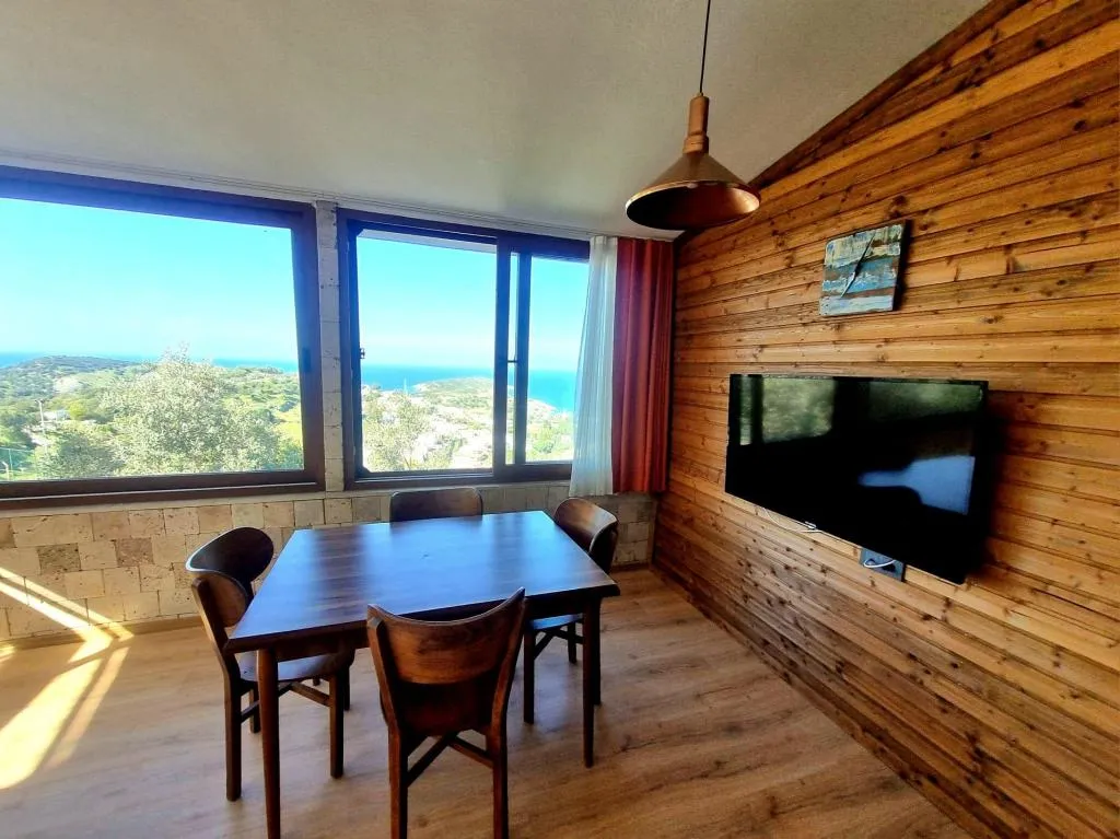 Studio Suite,Deniz ve Dağ Manzaralı,Barbekülü