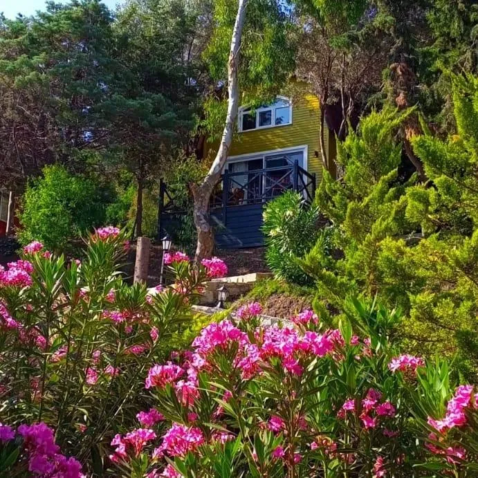 Tiny House,Deniz ve Dağ Manzaralı,Verandalı