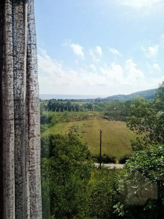 Bahçe Bungalov