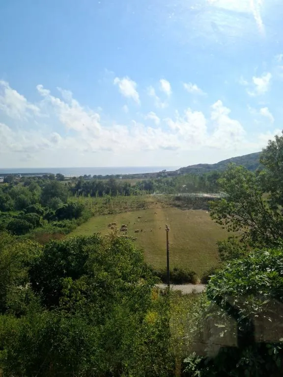 Bahçe Bungalov