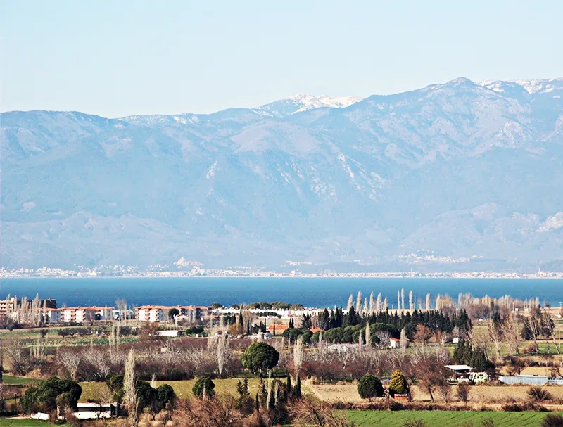 Genel Görünüm