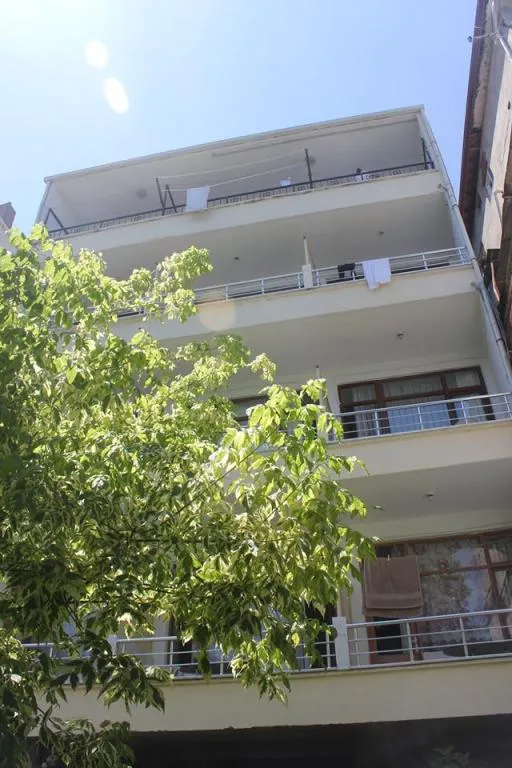 Genel Görünüm