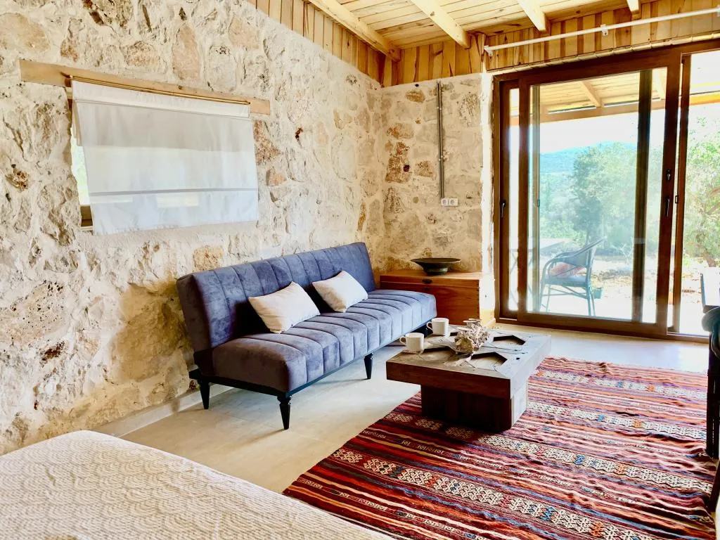 Olive Room