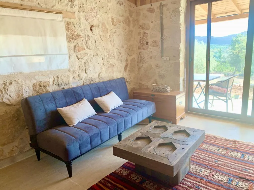 Olive Room