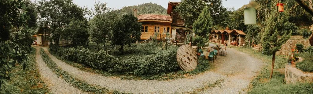 Diğer