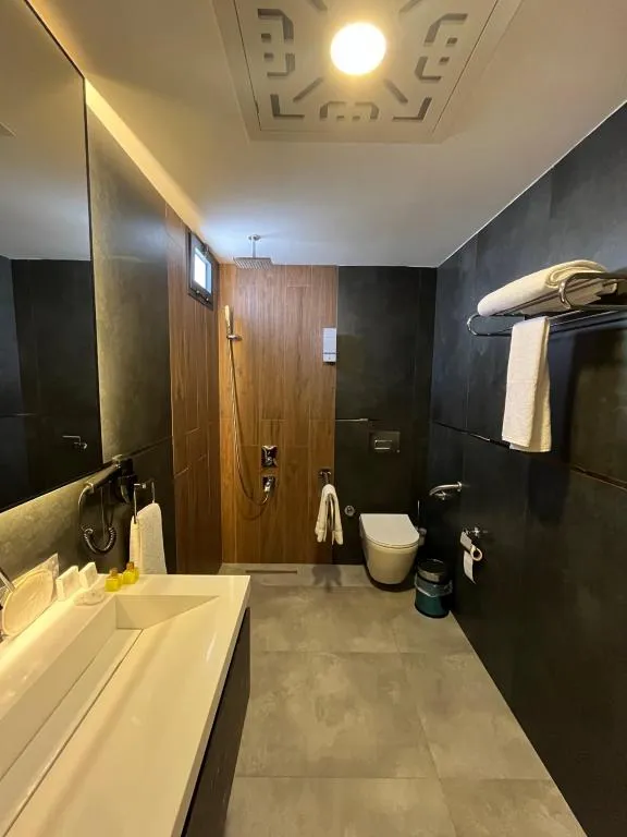 Deluxe Oda,Şehir Manzaralı,Klimalı