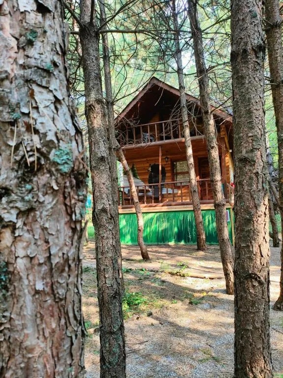 Deluxe Bungalow,Orman Manzaralı