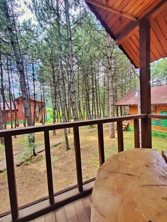 Deluxe Bungalow,Orman Manzaralı